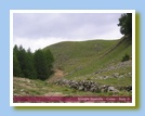 [Cliccare per ingrandire l'immagine]