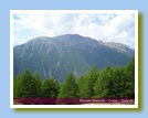 [Cliccare per ingrandire l'immagine]