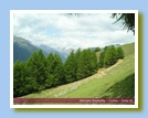 [Cliccare per ingrandire l'immagine]