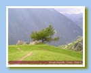 [Cliccare per ingrandire l'immagine]