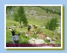 [Cliccare per ingrandire l'immagine]