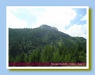 [Cliccare per ingrandire l'immagine]