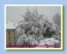 [Cliccare per ingrandire l'immagine]