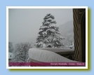 [Cliccare per ingrandire l'immagine]