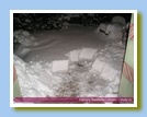 [Cliccare per ingrandire l'immagine]