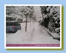 [Cliccare per ingrandire l'immagine]