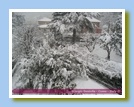 [Cliccare per ingrandire l'immagine]