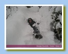 [Cliccare per ingrandire l'immagine]
